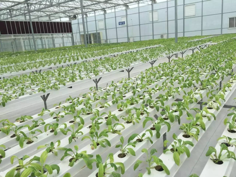 农业科技风起云涌：推动农业变革的新动能